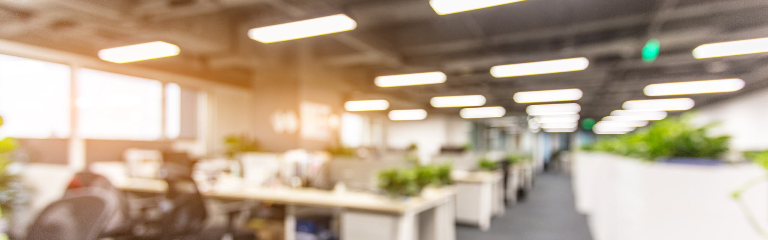 Ledvance human-centric lighting
